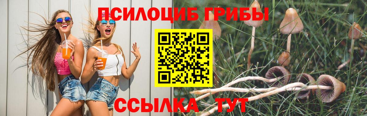 Псилоцибиновые грибы GOLDEN TEACHER  Вход с VPN  Ипатово 